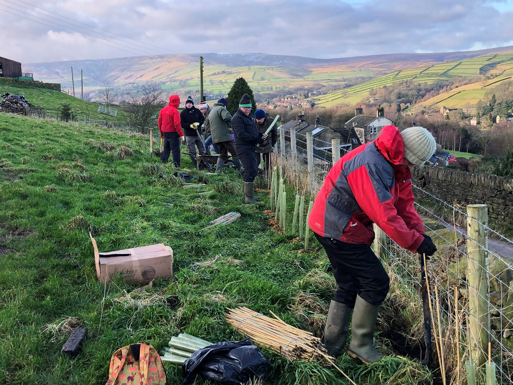 Green Grants Available in the Holme Valley