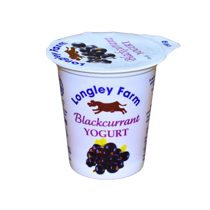 Blackcurrant Yogurt